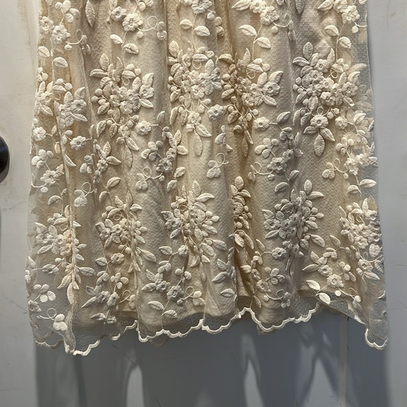 NWT Kensie ivory dress. Size 8. Lace embroidered Overlay, feminine, and soft. - Picture 6 of 8